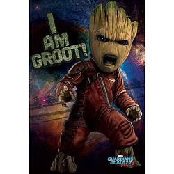 Foto van Pyramid guardians of the galaxy vol 2 angry groot poster 61x91,5cm