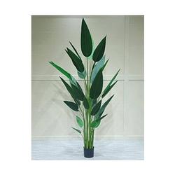 Foto van Buitengewoon de boet - kunstplant strelitzia smal 160 cm