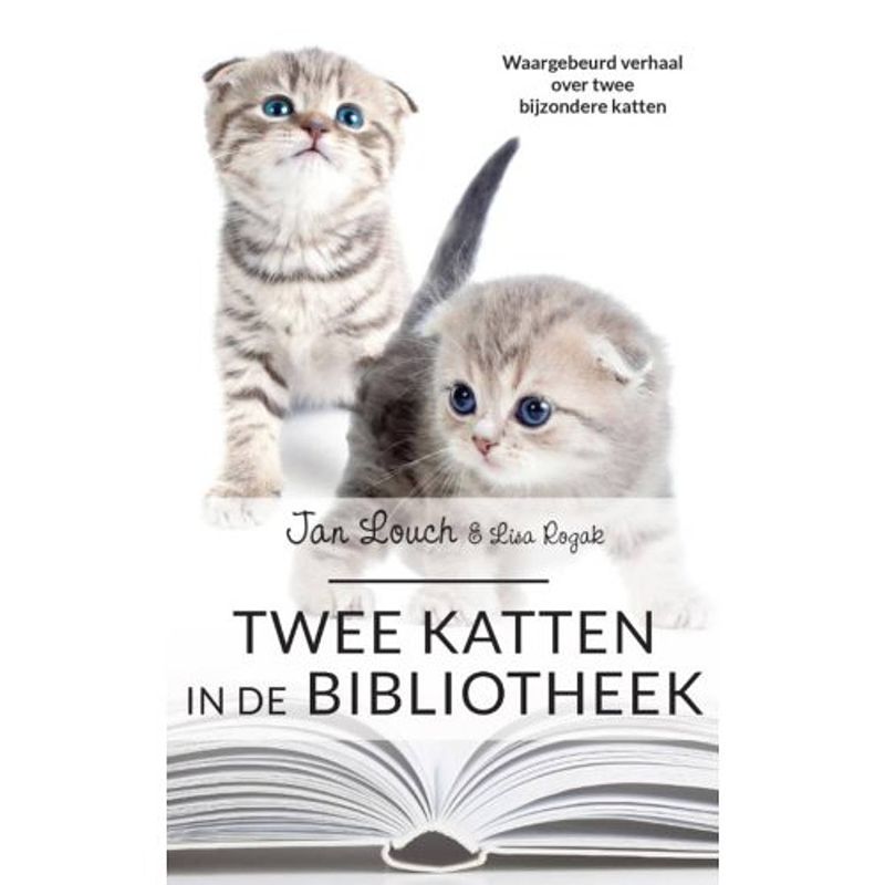 Foto van Twee katten in de bibliotheek