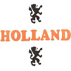 Foto van Oranje foam stickers holland - feeststickers