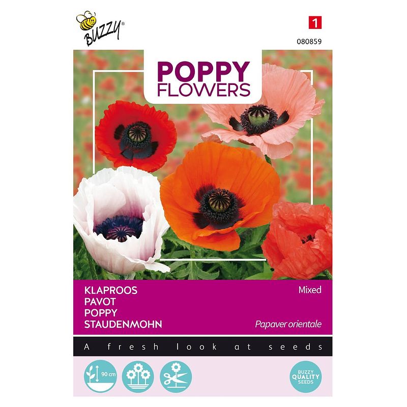 Foto van 3 stuks poppies of the world papaver orientaalse