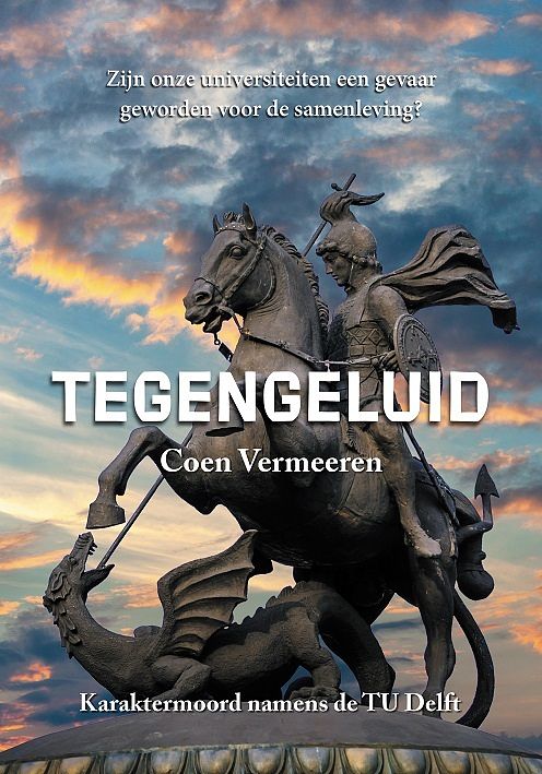 Foto van Tegengeluid - coen vermeeren - paperback (9789464610697)