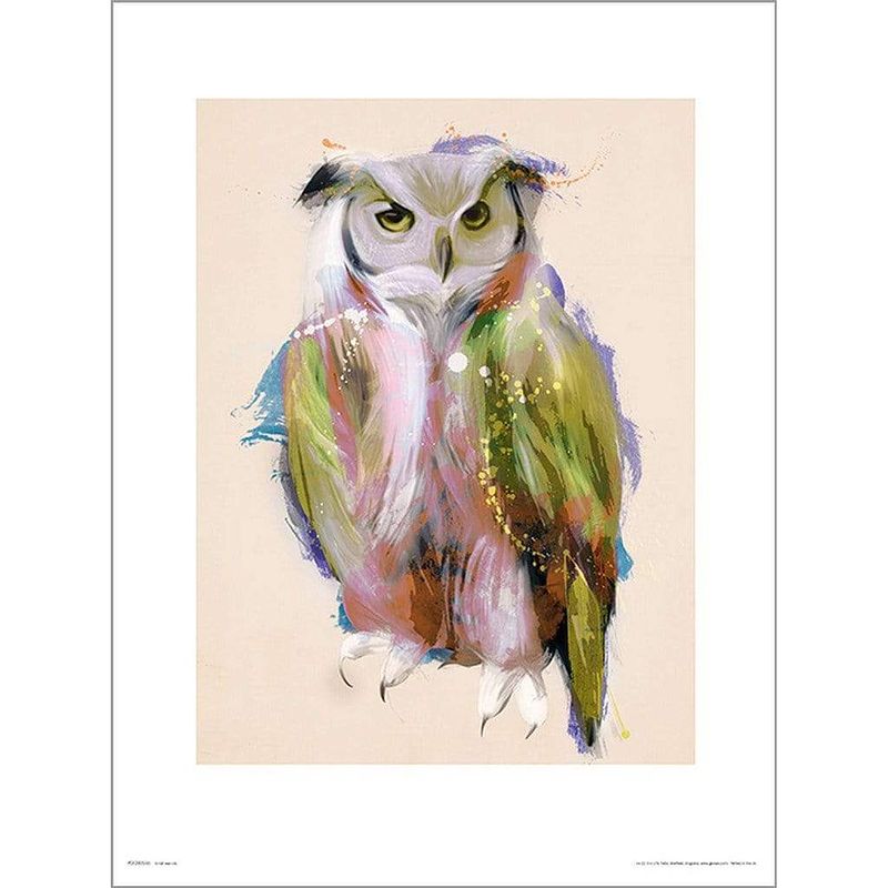 Foto van Gbeye owl paint kunstdruk 50x70cm