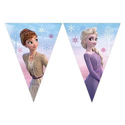 Foto van Globos papieren vlaggenlijn fsc frozen 2 wind spirti, 3mtr.