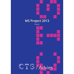 Foto van Ms project 2010-2013 basis