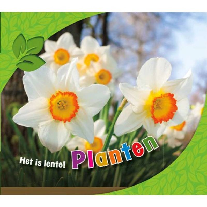 Foto van Planten - het is lente!