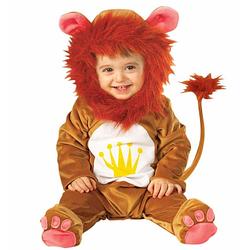 Foto van Leeuwen baby kostuum - carnavalskostuums