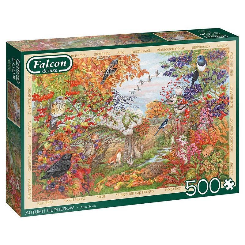 Foto van Falcon legpuzzel autumn hedgerow 500 stukjes