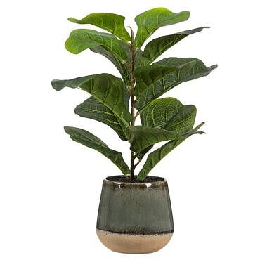 Foto van Kunstplant ficus in pot - groen - 50 cm - leen bakker