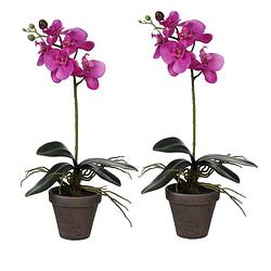 Foto van 2x stuks phalaenopsis orchidee kunstplanten paars in grijze pot h48 x d13 cm - kunstplanten