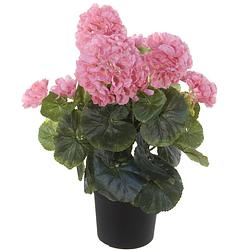 Foto van Roze geranium pelargonium graveolens kunstplant in zwarte kunststof pot 35 cm - kunstplanten