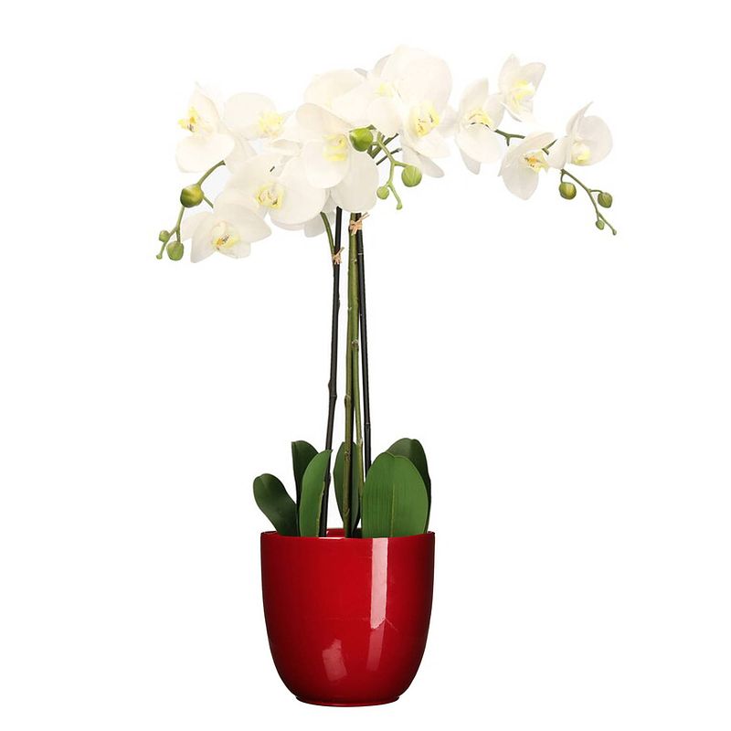 Foto van Orchidee kunstplant wit - 75 cm - inclusief bloempot rood glans - kunstplanten