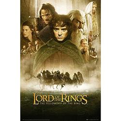 Foto van Gbeye lord of the rings fellowship of the ring poster 61x91,5cm
