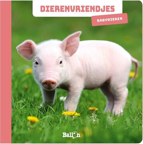 Foto van Babydieren - kartonboekje;kartonboekje (9789403212234)