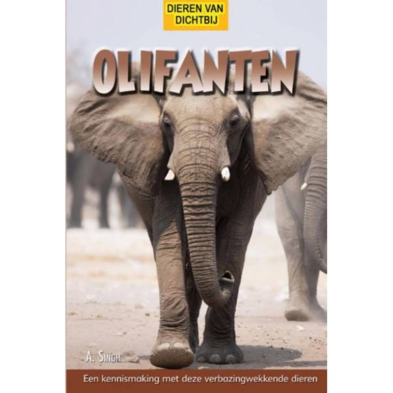 Foto van Olifanten - dieren van dichtbij