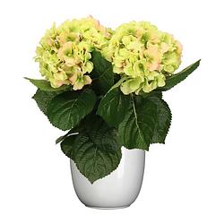 Foto van Hortensia kunstplant/kunstbloemen 36 cm - groen/roze - in pot wit glans - kunstplanten