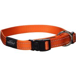 Foto van Rogz for dogz hondenhalsband fanbelt 34-56 cm nylon oranje