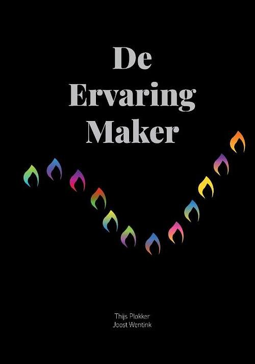 Foto van De ervaring maker - joost wentink, thijs plokker - hardcover (9789083242002)