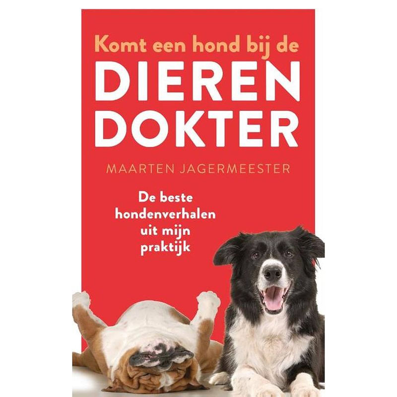 Foto van Komt een hond bij de dierendokter