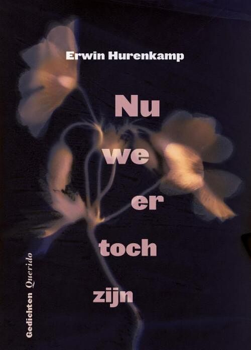 Foto van Nu we er toch zijn - erwin hurenkamp - paperback (9789021477480)