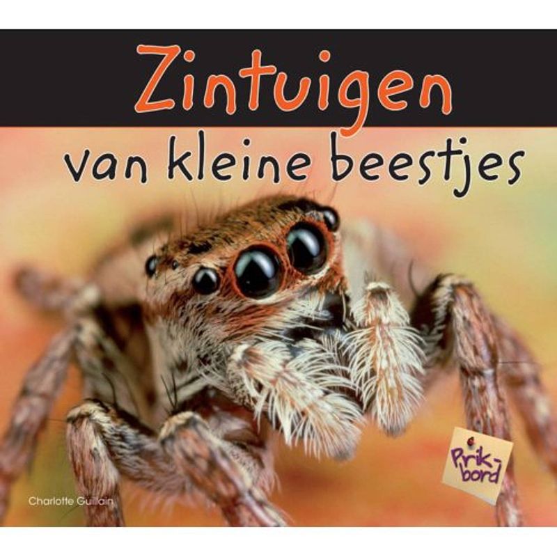 Foto van Zintuigen van kleine beestjes - prikbord