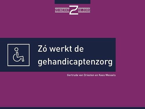 Foto van Zó werkt de gehandicaptenzorg - gertrude van driesten, kees wessels - ebook (9789493004139)