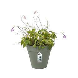 Foto van Loft urban green wall single 15cm pistachegroen