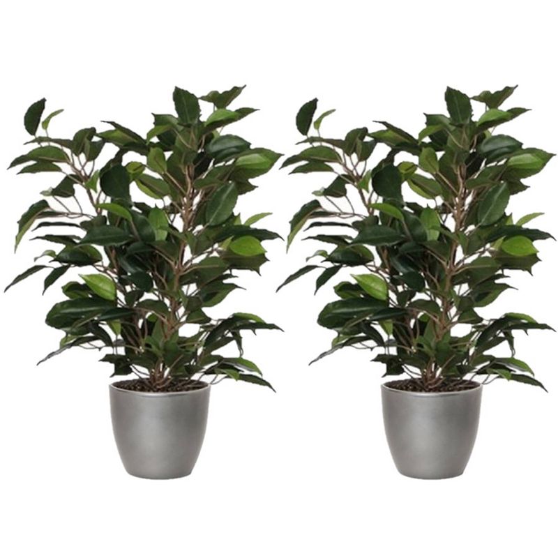 Foto van 2x stuks groene ficus kunstplant 40 cm met plantenpot zilver metallic d13.5 en h12.5 cm - kunstplanten