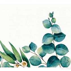 Foto van Duni design servetten eucalyptus - 20x - wit/groen - 33 x 33 cm - feestservetten