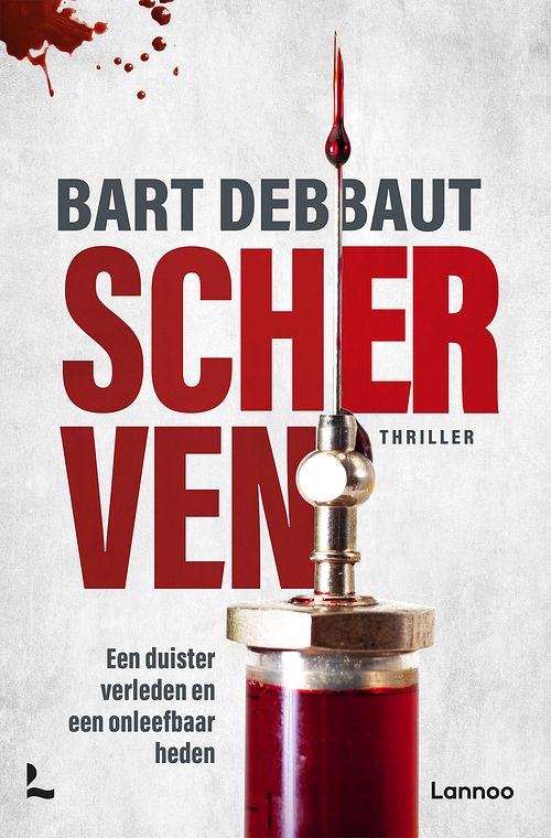 Foto van Scherven - bart debbaut - ebook