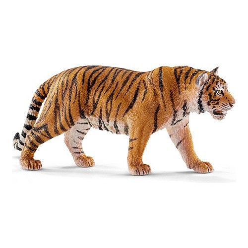 Foto van Wild life - bengaalse tijger