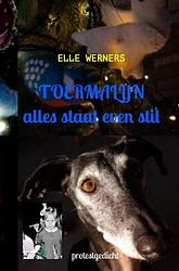 Foto van Toermalijn - elle werners - paperback (9789464851038)