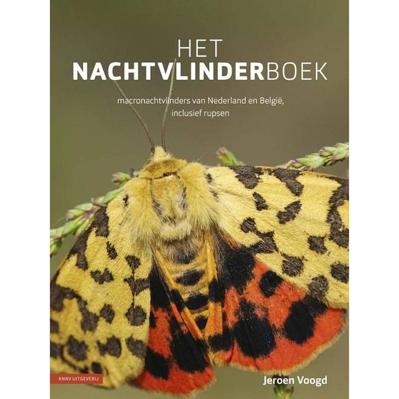 Foto van Het nachtvlinderboek