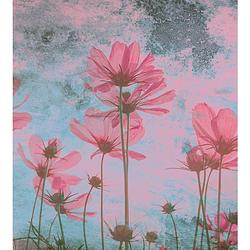 Foto van Dimex pink flower abstract fotobehang 225x250cm 3-banen