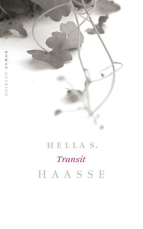 Foto van Transit - hella s. haasse - ebook (9789021443096)