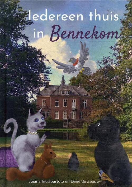 Foto van Iedereen thuis in bennekom - josina intrabartolo - hardcover (9789491687945)