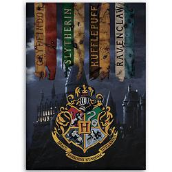 Foto van Harry potter fleece deken zweinstein - 100 x 140 cm - multi