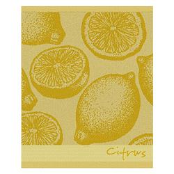 Foto van Ddddd keukendoek citrus 50x55cm - yellow - set van 6