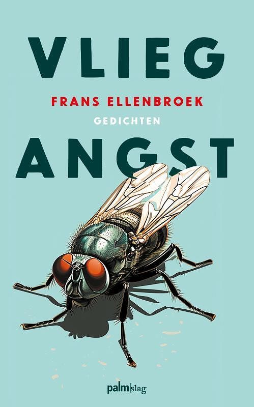 Foto van Vliegangst - frans ellenbroek - paperback (9789493343047)