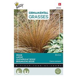 Foto van Buzzy - ornamental grasses, carex comans 'sbronco's