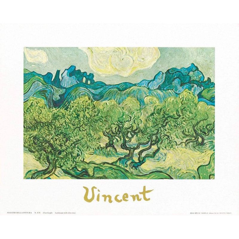 Foto van Vincent van gogh - landscapes with olive trees kunstdruk 30x24cm