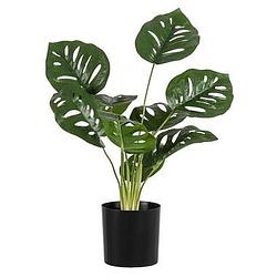 Foto van Kunstplant monstera monkey bush - groen - 43 cm - leen bakker