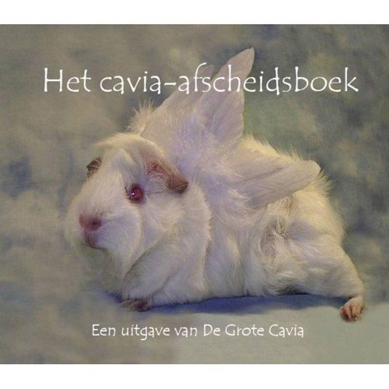 Foto van Het cavia afscheidsboek / 2