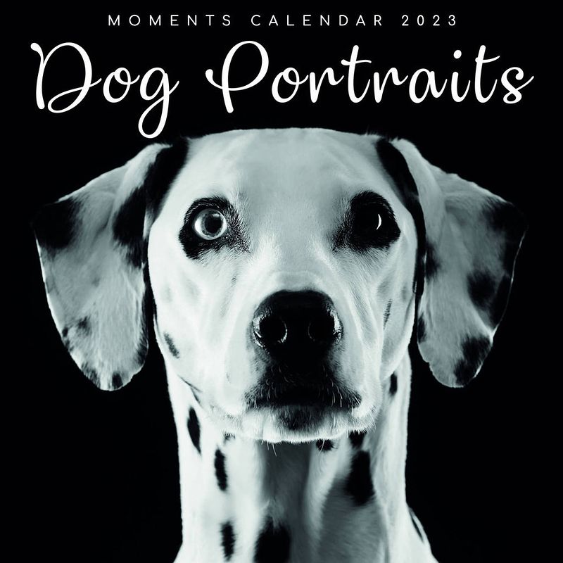 Foto van Dog portraits kalender 2023