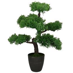 Foto van H&s collection kunstplant bonsai boompje in pot - japans decoratie - 50 cm - type tokio - kunstplanten