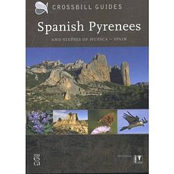 Foto van Spanish pyrenees - crossbill guides