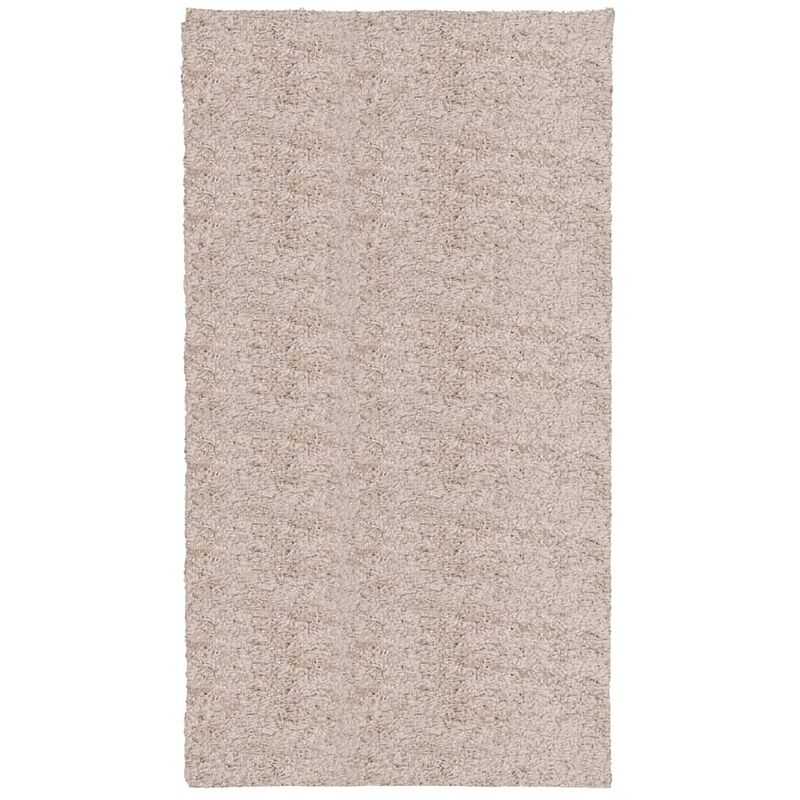 Foto van Vidaxl vloerkleed pamplona shaggy hoogpolig modern 60x110 cm beige