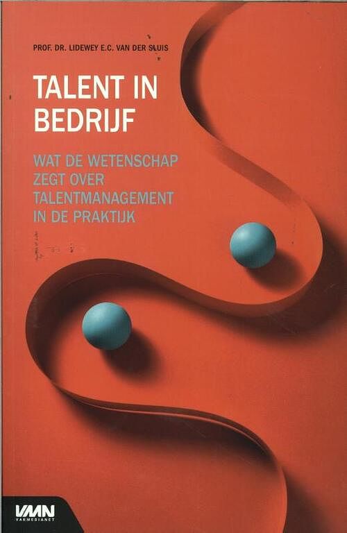 Foto van Talent in bedrijf - lidewey van der sluis - paperback (9789462157316)