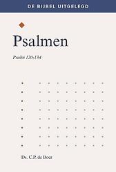 Foto van Psalmen - ds. c.p. de boer - ebook (9789402907940)