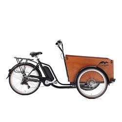 Foto van Cangoo bakfiets cangoo easy-e staal k207